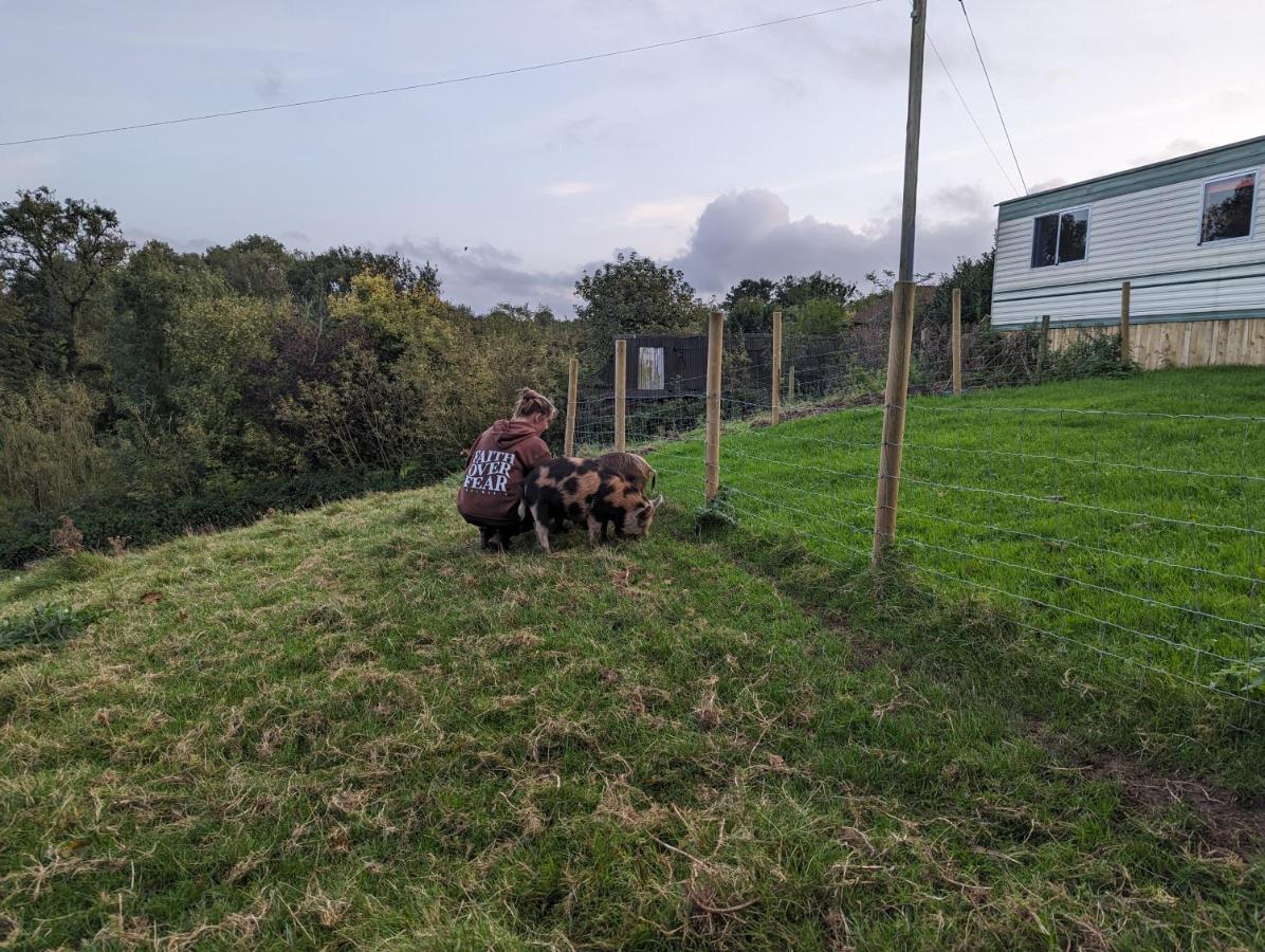 Witheridge The Piggeryヴィラ エクステリア 写真