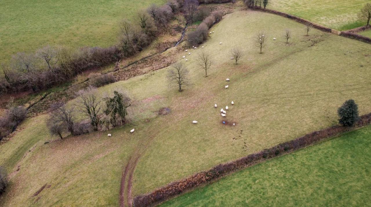 Witheridge The Piggeryヴィラ エクステリア 写真